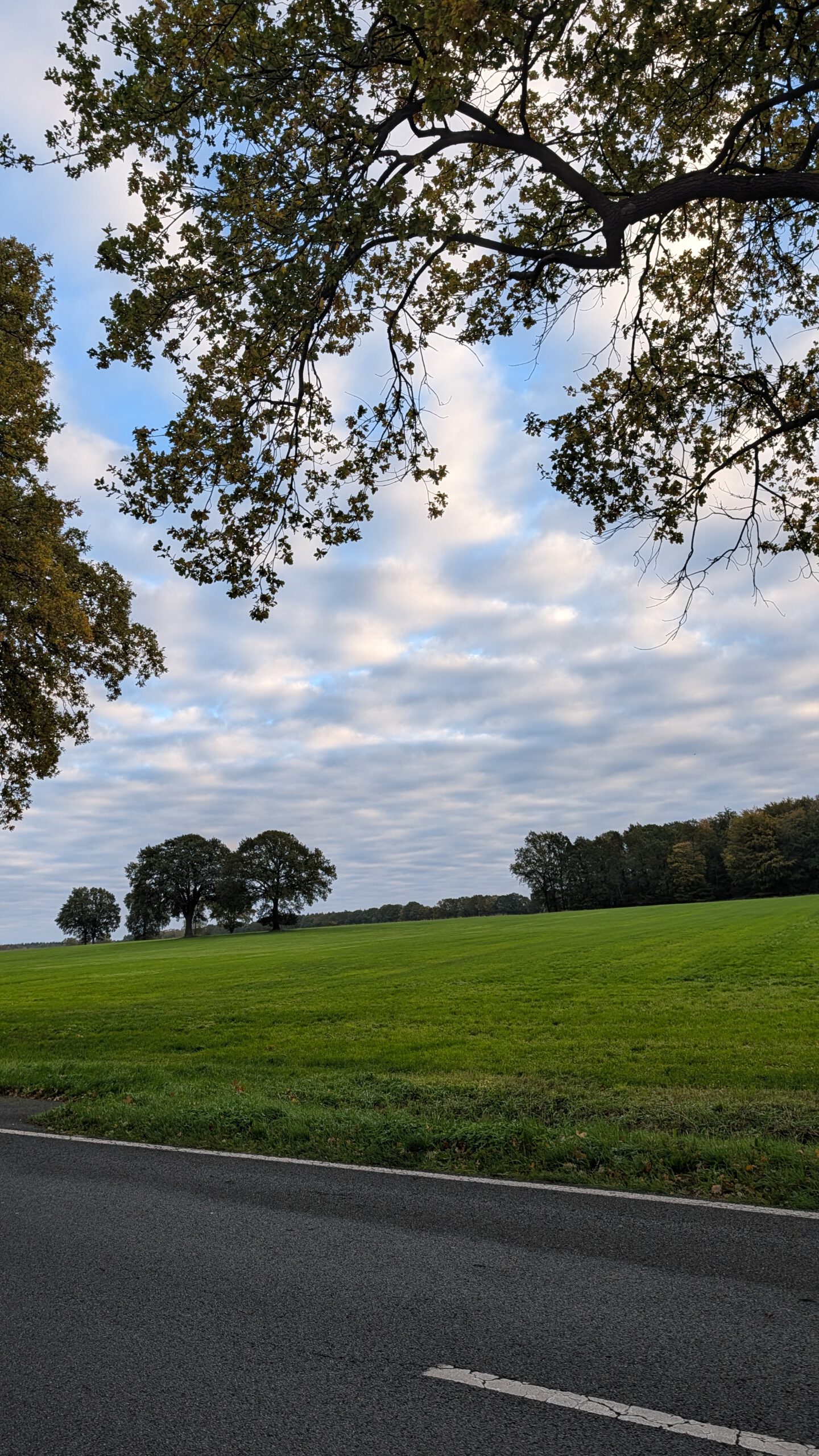 Joggen, Laufen